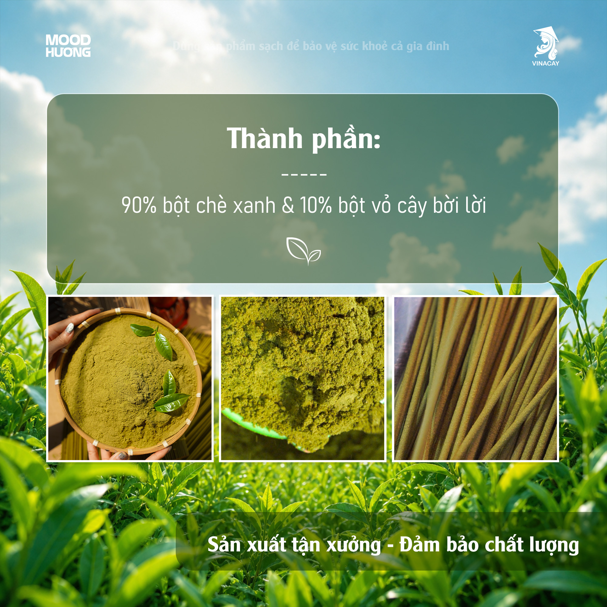 Hương Trà Xanh 7