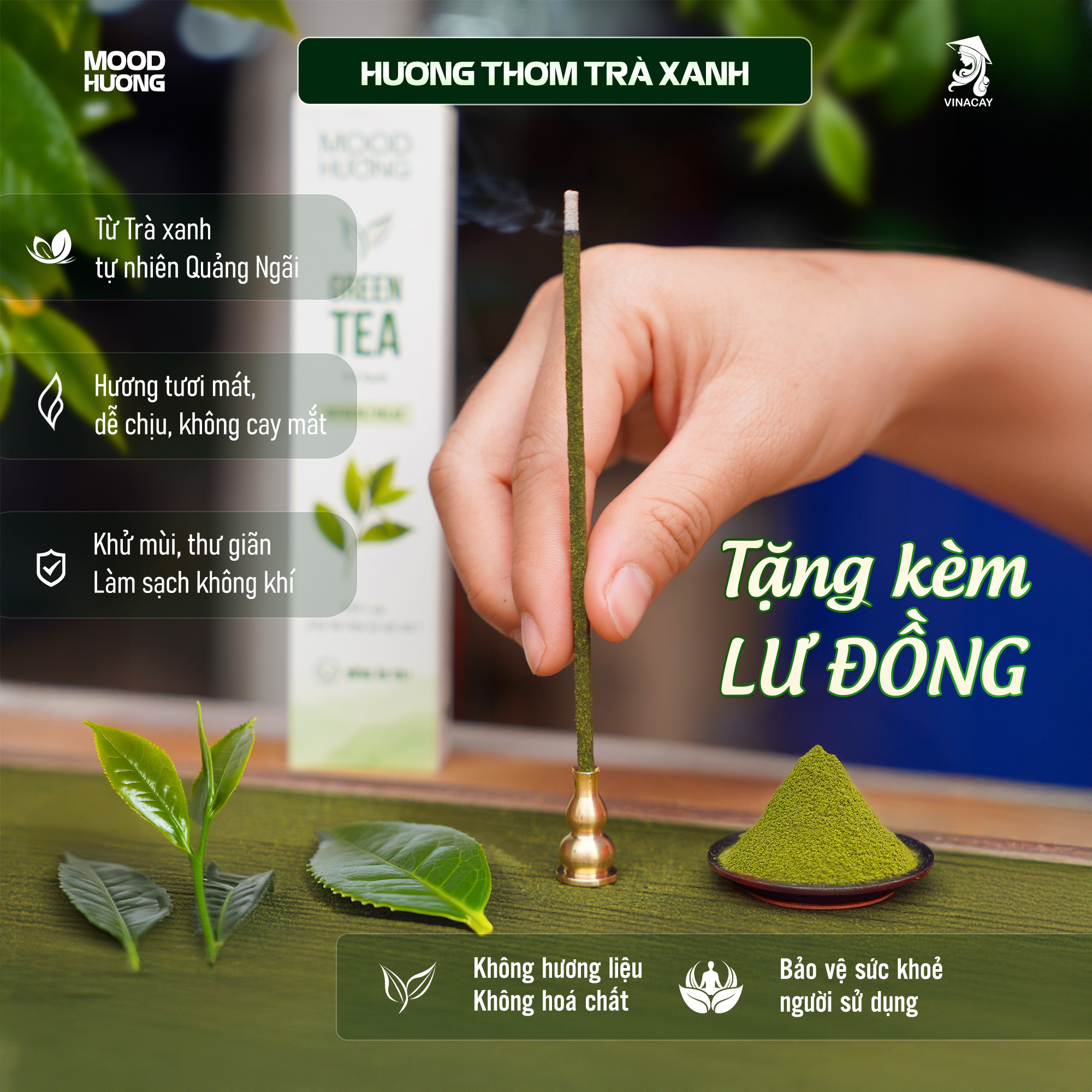 Hương Trà Xanh 1